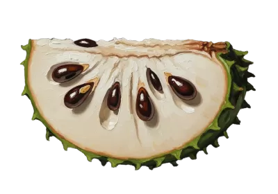 Imagen PNG para descargar